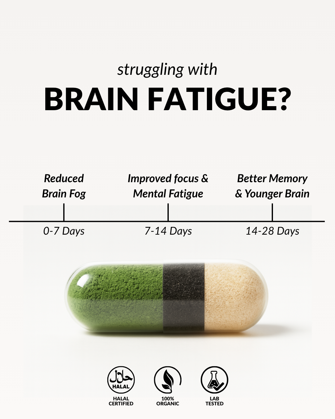 FYT Capsules – Brain & Body Fuel